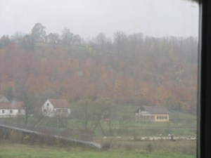 Gazing out the train window.