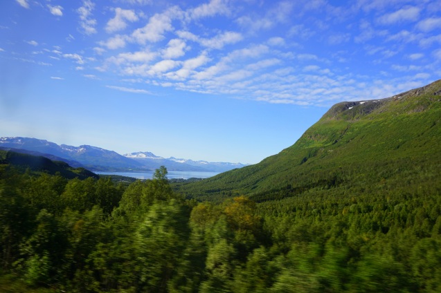 "...perks of a bus ride in the Arctic Circle..."
